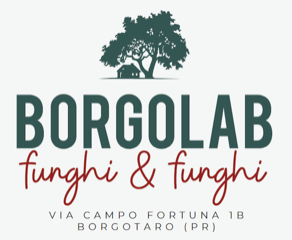 La Baita di Borgolab