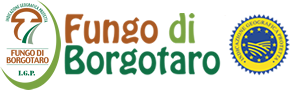 Consorzio Fungo IGP