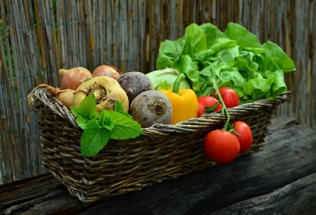 31.	AZIENDA AGRICOLA “I SAPORI DEL BOSCO” DI CANEPA ALBERTO