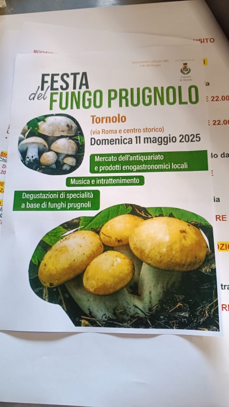 Festa del Fungo Prugnolo - Tornolo